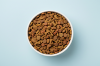 Dry Dog Food